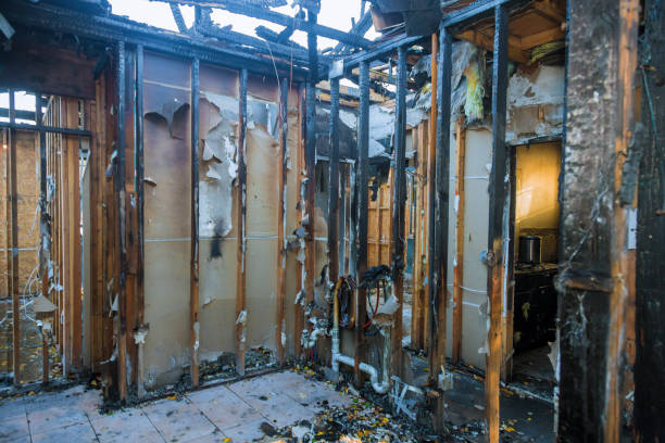 Professional Fire Damage Cleanup technician working in Henriette, MN